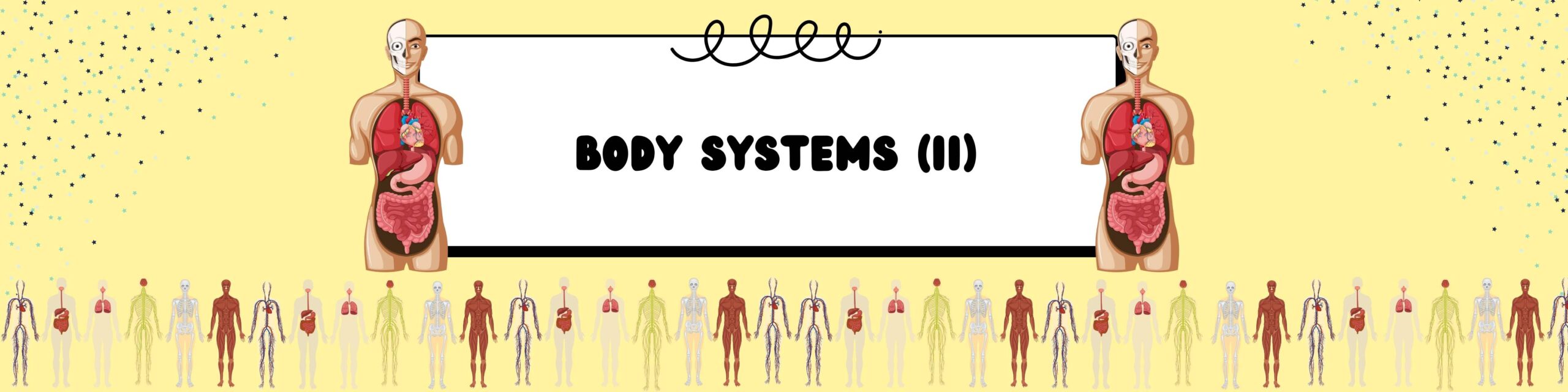 Body Systems (II) Unit