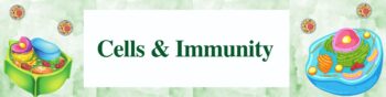 Cells & Immunity Unit