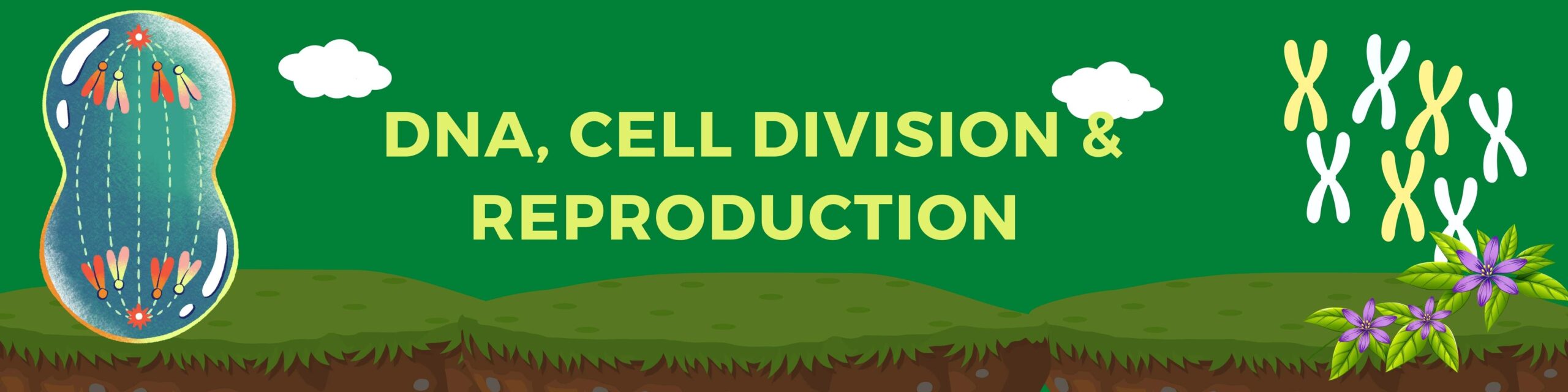 DNA, Cell Div & Reproduction Unit