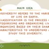 Biodiversity and Classification - Image 3
