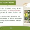 Biodiversity and Classification - Image 4
