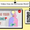 Chemical Messengers: Hormones - Image 3
