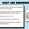 Chemical Messengers: Hormones - Image 4