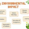 Consequences of Energy Use - Image 4