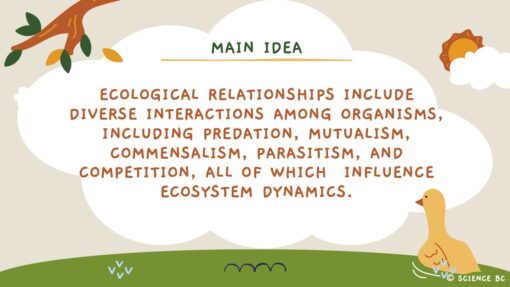Ecological Relationships: Competition, Predation and Symbiosis - Image 3