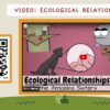 Ecological Relationships: Competition, Predation and Symbiosis - Image 4