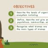 Ecosystem Organisation - Image 2