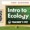 Ecosystem Organisation - Image 4