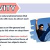 Force of Gravity - Image 3