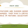 Mutations Lead to Natural Selection - Image 3