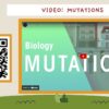 Mutations Lead to Natural Selection - Image 4