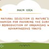 Natural Section & Artificial Selection - Image 3