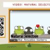 Natural Section & Artificial Selection - Image 4