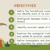 Survival Needs - Image 2
