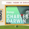 The Theory of Evolution - Image 4