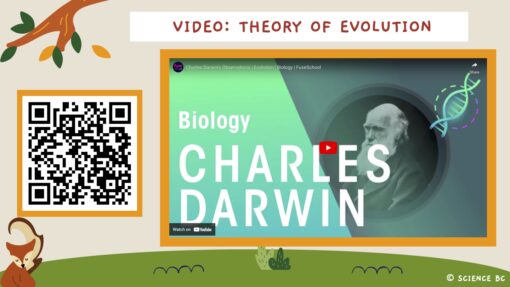 The Theory of Evolution - Image 4