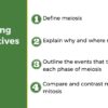 Meiosis - Complete Guide - Image 2