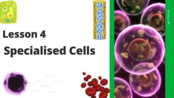 Specialized Cells