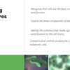 Cell Theory + Prokaryotic Cells - Image 2
