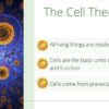 Cell Theory + Prokaryotic Cells - Image 4