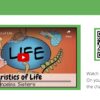 Characteristics of Life Slides - Image 4