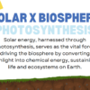 Solar Energy and the Biosphere (1) - Photosynthesis - Image 3