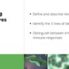 The Immune System - Image 2