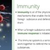 The Immune System - Image 3