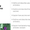 Vaccines and Antibiotics - Image 2