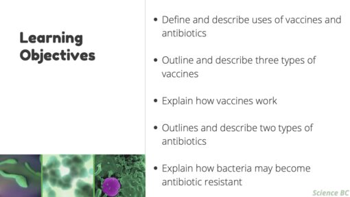 Vaccines and Antibiotics - Image 2