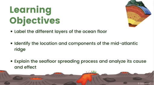 Studies of the Ocean Floor - Image 2