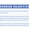 Interconnectedness and Ecosystem Services - Image 2