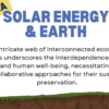 Interconnectedness and Ecosystem Services - Image 3