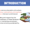 Interconnectedness and Ecosystem Services - Image 4