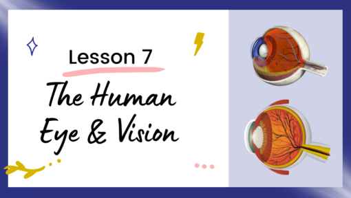*Lights and Optics Slideshow Bundle - Image 8