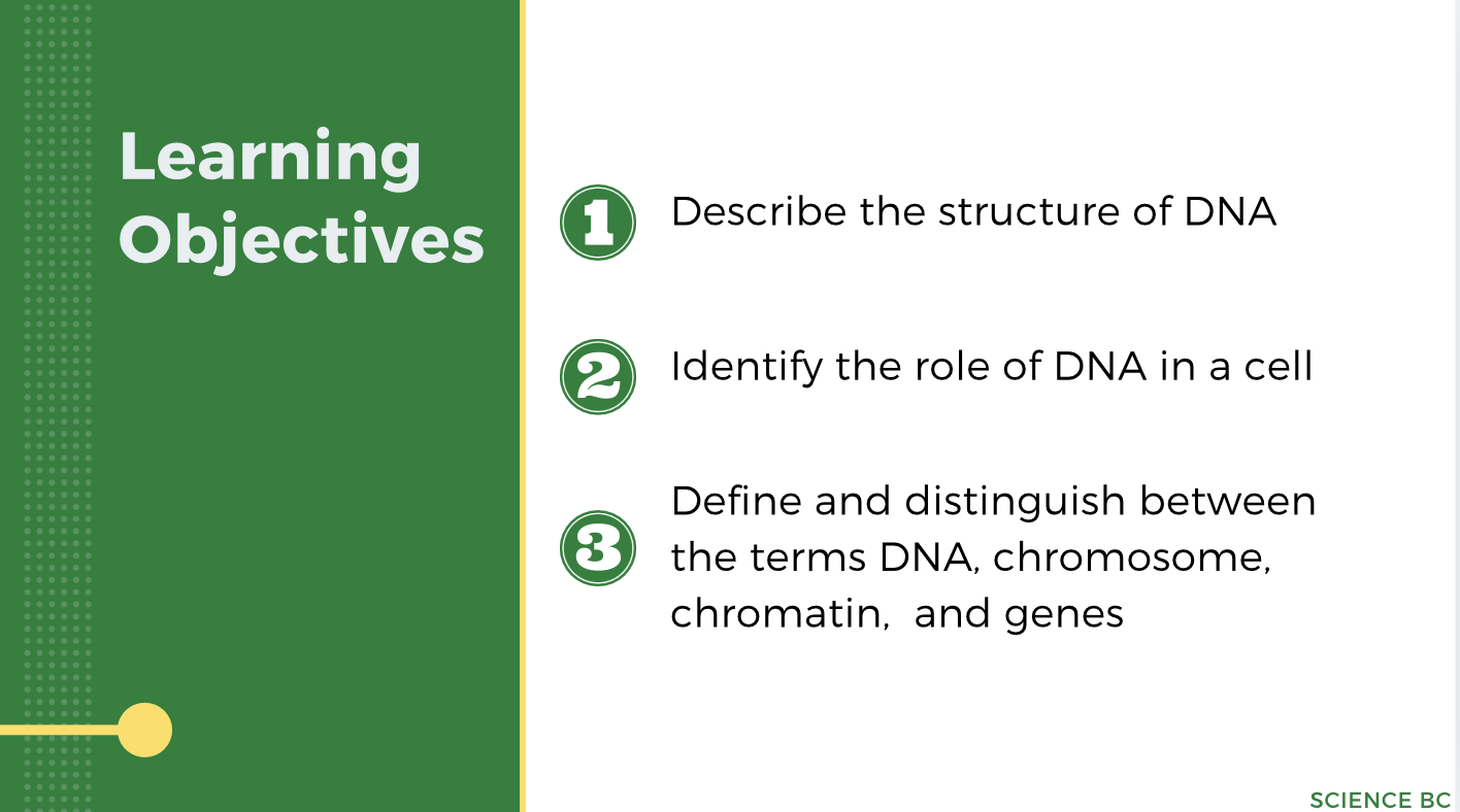 DNA Structure and Function – Science BC